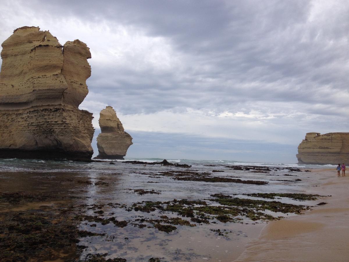 Clifton Beach Lodge Port Campbell Eksteriør bilde